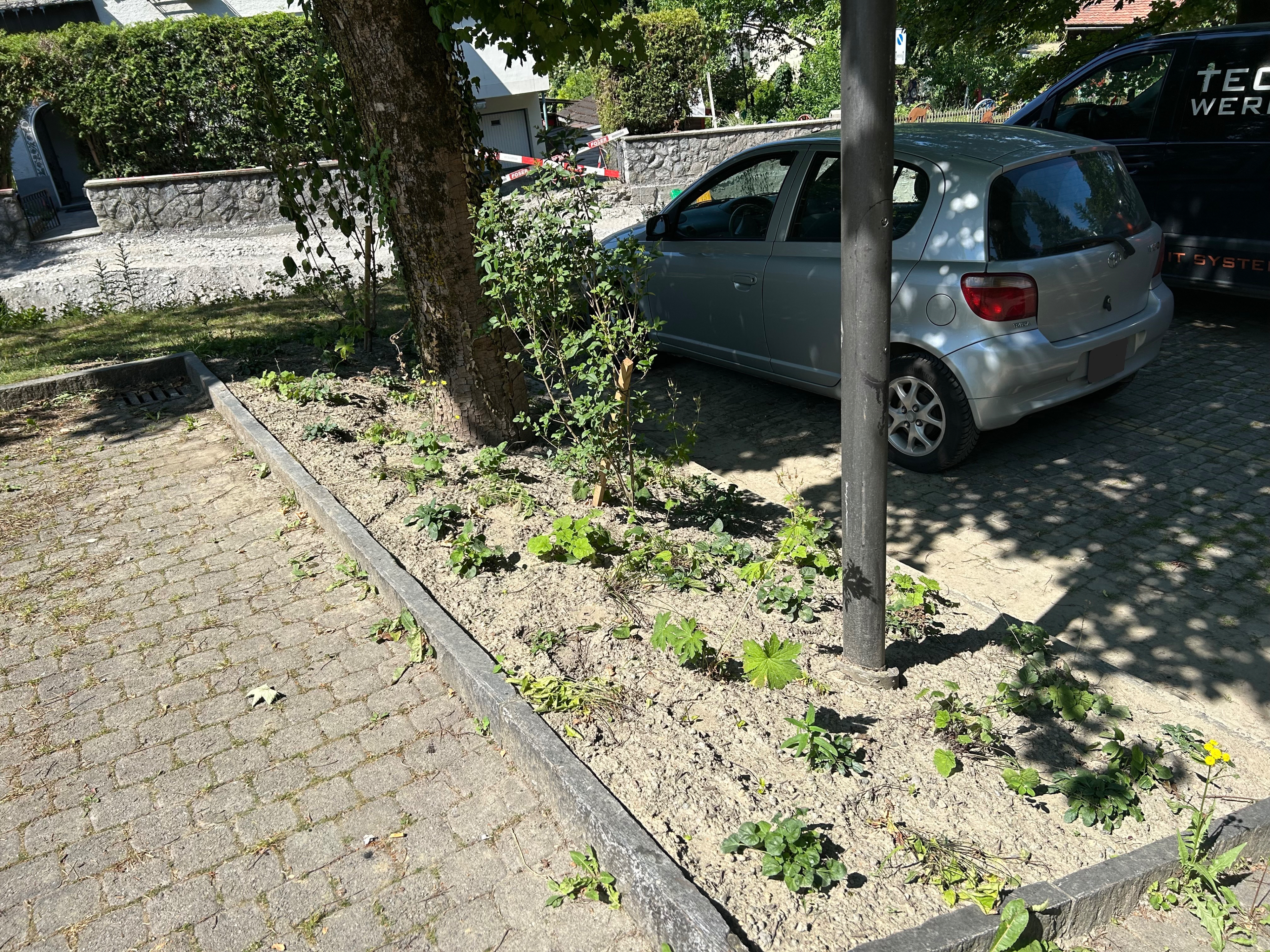 IMG_0214.jpeg