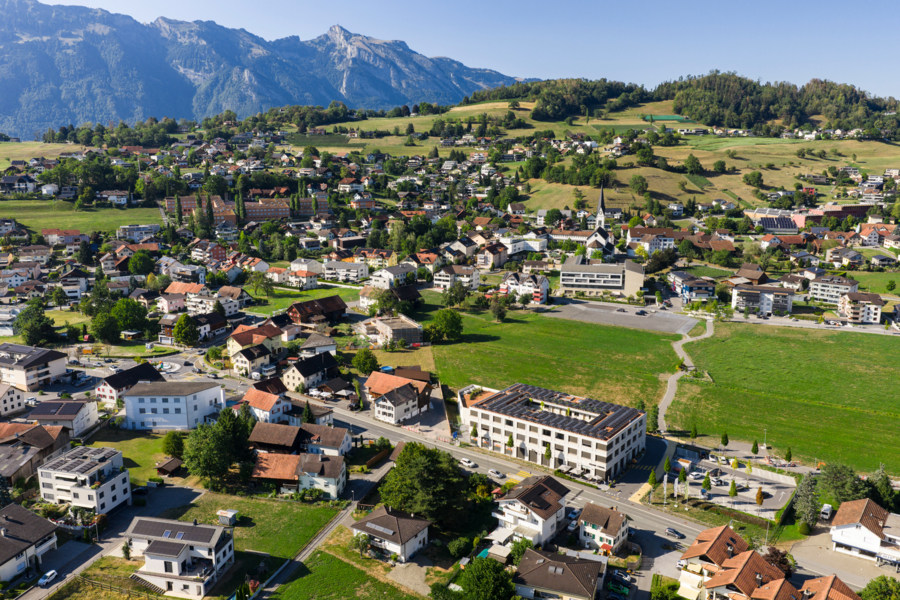 Eschen-Nendeln